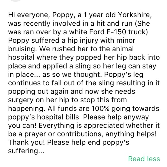 Hope - Picture 2 of 2